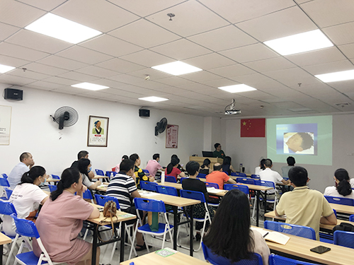 实训教学